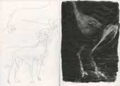 Sketchbook A4-03, 04c. Line drawings and graphite powder sketch (dogs and bird).