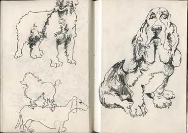 Sketchbook A5-04, 15. Line drawings (dogs).